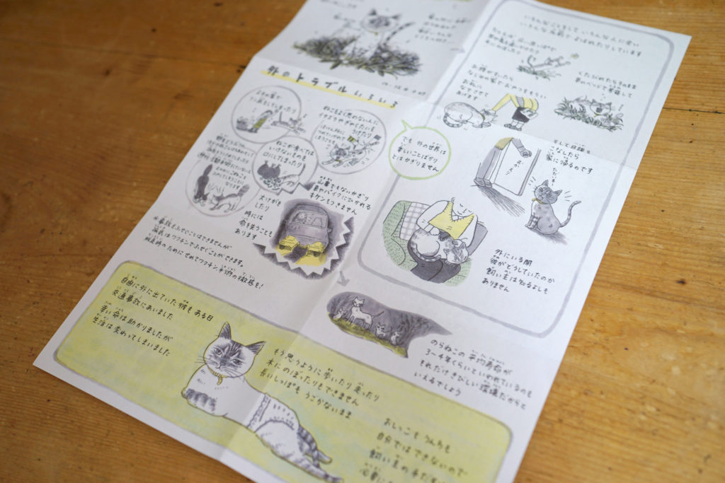 DSC06116 » 猫の本専門出版／ねこねっこ neco-necco